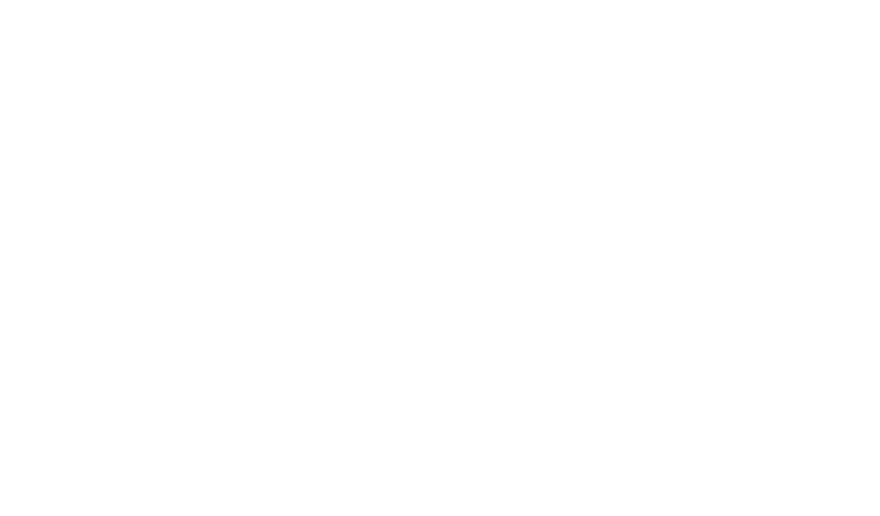 Festival of the Lakes